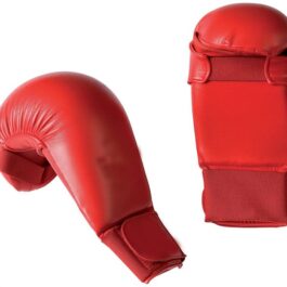 MMA Mitts