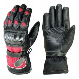 Moterbike gloves